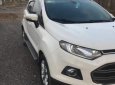 Ford EcoSport Titanium 1.5AT 2015 - Chính chủ bán Ford Ecosport Titanium 1.5AT, số tự động, máy 1.5L