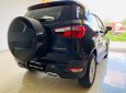 Ford EcoSport Titanium 2016 - Bán Ford Ecosport Titanium sản xuất 2016, màu đen độ nhiều đồ