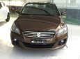 Suzuki Ciaz 2017 - Cần bán Suzuki Ciaz sản xuất năm 2017, màu nâu, nhập khẩu nguyên chiếc