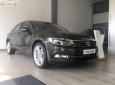 Volkswagen Passat 1.8 Bluemotion 2018 - Bán xe Volkswagen Passat 1.8 Bluemotion đời 2018, màu nâu, nhập khẩu, công nghệ an toàn