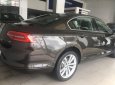 Volkswagen Passat 1.8 Bluemotion 2018 - Bán xe Volkswagen Passat 1.8 Bluemotion đời 2018, màu nâu, nhập khẩu, công nghệ an toàn