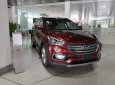 Hyundai Santa Fe    CKD  2017 - Bán Hyundai Santa Fe CKD bản đặc biệt, máy dầu, 2 cầu, với linh kiện nhập khẩu 100%