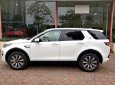 LandRover Discovery Sport HSE Luxury 2016 - Cần bán LandRover Discovery Sport HSE Luxury đời 2016, màu trắng, xe nhập