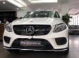 Mercedes-Benz GLE-Class  GLE 43 AMG 4Matic 2018 - Bán Mercedes GLE 43 AMG 4Matic đời 2018, màu trắng, nhập khẩu