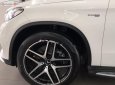 Mercedes-Benz GLE-Class  GLE 43 AMG 4Matic 2018 - Bán Mercedes GLE 43 AMG 4Matic đời 2018, màu trắng, nhập khẩu