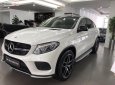 Mercedes-Benz GLE-Class  GLE 43 AMG 4Matic 2018 - Bán Mercedes GLE 43 AMG 4Matic đời 2018, màu trắng, nhập khẩu