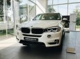 BMW X3 X-Drive 35i  2018 - BMW X5 X-Drive 35i sx 2018, sẵn xe giao ngay, hỗ trợ vay 85% giá trị xe