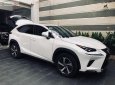 Lexus NX 300 2017 - Cần bán xe Lexus NX 300 đời 2017, màu trắng, nhập khẩu nguyên chiếc  