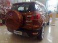 Ford EcoSport Titanium 1.0L AT 2019 - Bán Ecosport 2019 đủ màu và phiên bản, chỉ cần 200 triệu đồng nhận ngay chuyên gia đường phố - Call 0974286009