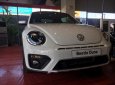 Volkswagen Beetle  Dune 2018 - Volkswagen Beetle Beetle Dune sản xuất 2018, màu trắng, nhập khẩu, hỗ trợ vay 80%