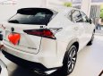 Lexus NX 300 2017 - Cần bán xe Lexus NX 300 đời 2017, màu trắng, nhập khẩu nguyên chiếc  