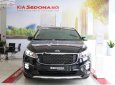 Kia Sedona Platinum G 2018 - Bán Kia Sedona Platinum G sản xuất năm 2018, màu đen, máy xăng