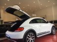 Volkswagen Beetle  Dune 2018 - Volkswagen Beetle Beetle Dune sản xuất 2018, màu trắng, nhập khẩu, hỗ trợ vay 80%