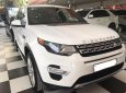 LandRover Discovery HSE 2015 - Bán ô tô LandRover Discovery HSE đời 2015, màu trắng, xe nhập