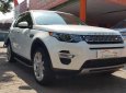 LandRover Discovery Sport HSE Luxury 2015 - Cần bán xe LandRover Discovery Sport HSE Luxury đời 2015, màu trắng, nhập khẩu nguyên chiếc