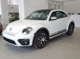 Volkswagen New Beetle 2018 - Bán Volkswagen New Beetle năm sản xuất 2018, màu trắng, xe nhập