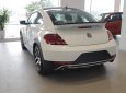 Volkswagen New Beetle 2018 - Bán Volkswagen New Beetle năm sản xuất 2018, màu trắng, xe nhập