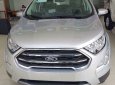 Ford EcoSport 1.0AT  2018 - Bán xe Ford EcoSport đời 2018, Ecoboost 1.0AT màu xám (ghi), KM chỉ 677 triệu, tặng gói phụ kiện tháng 11