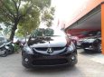 Mitsubishi Grandis AT Mivec 2.4L 2009 - Cần bán xe Mitsubishi Grandis AT Mivec 2.4L sản xuất năm 2009, màu đen