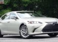 Lexus ES 250 2018 - Bán ô tô Lexus ES 250 sản xuất năm 2018, màu vàng, xe nhập