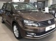 Volkswagen Polo  1.6AT 2018 - Cần bán xe Volkswagen Polo 1.6AT đời 2018, màu nâu, nhập khẩu