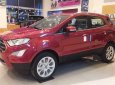 Ford EcoSport 2018 - Bán EcoSport Titanium AT 2018 giảm giá kịch sàn T11, TG chỉ từ 120 triệu là nhận xe, Mọi thủ tục chúng tôi lo