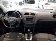 Volkswagen Polo  1.6AT 2018 - Cần bán xe Volkswagen Polo 1.6AT đời 2018, màu nâu, nhập khẩu