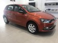 Volkswagen Polo 2016 - Tôi cần bán xe 5 chỗ nhập Đức, xe mới giá chỉ 599tr