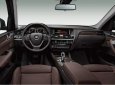 BMW X3 2018 - Bán ô tô BMW X3 đời 2018, màu đỏ, xe nhập