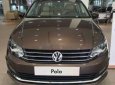 Volkswagen Polo  1.6AT 2018 - Cần bán xe Volkswagen Polo 1.6AT đời 2018, màu nâu, nhập khẩu
