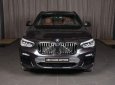 BMW X4   2018 - Bán BMW X4 sản xuất năm 2018, màu đen, xe nhập