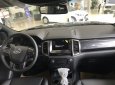 Ford Everest 2018 - Bán Ford Everest Trend AT 2018, nhập khẩu, giá cạnh tranh, chỉ 300 triệu xuống đường. Lh 0969016692