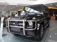 Mercedes-Benz G class G63 2018 - Cần bán Mercedes G63 sản xuất năm 2018, màu đen, nhập khẩu