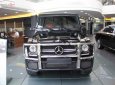 Mercedes-Benz G class G63 2018 - Cần bán Mercedes G63 sản xuất năm 2018, màu đen, nhập khẩu