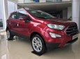 Ford EcoSport 1.0 Titanium 2018 - Bán xe Ford Ecoport bản 1.0 Titanium màu đỏ. Có xe giao ngay đủ màu, Lh 0965423558