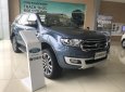 Ford Everest Titanium 2.0L AT (4x2)  2018 - Bán xe Ford Everest đời 2018, màu xanh lam, nhập khẩu, KM quà tặng hấp dẫn, sẵn xe giao trong T11