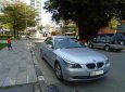 BMW 5 Series 523i 2009 - Cần bán lại xe BMW 5 Series 523i đời 2009, màu xám, nhập khẩu như mới, 515tr