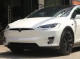 Xe tải ben P100D 2018 - Bán Tesla X P100D