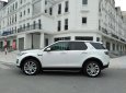 LandRover Discovery Sport HSE Luxury 2015 - Bán ô tô LandRover Discovery Sport HSE Luxury 2017, màu trắng, xe nhập