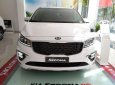 Kia Sedona Platinum G 2018 - Bán xe Kia Sedona Platinum G sản xuất năm 2018, màu trắng