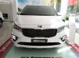 Kia Sedona Platinum G 2018 - Bán Kia Sedona Platinum G cho bản máy xăng full option