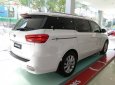 Kia Sedona Platinum G 2018 - Bán Kia Sedona Platinum G cho bản máy xăng full option