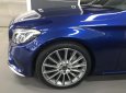 Mercedes-Benz C class C300 2017 - Bán xe Mercedes C300 màu xanh - lướt 11/2018 Chính hãng