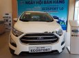 Ford EcoSport  1.0AT 2018 - Bán Ford Ecosport 1.0AT 2018, trả góp chỉ với 200tr đồng quý khách hàng có thể sở hữu được xe SUV tiêu chuẩn toàn cầu