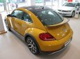 Volkswagen Beetle AT 2018 - Cần bán Volkswagen Beetle sản xuất năm 2018, màu vàng, nhập khẩu nguyên chiếc