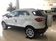 Ford EcoSport 1.0 Titanium  2018 - Chương trình khuyến mại Ford Ecosport cực lơn T11/2018. LH 0965423558