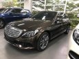 Mercedes-Benz C class C250 2018 - Cần bán Mercedes C250 đời 2018, màu nâu