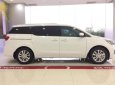 Kia Sedona Platinum D 2018 - Bán Sedona Platinum D 2019, giá 1tỷ 209 triệu, tặng Camera hành trình nhập khẩu Hàn Quốc, liên hệ 0979.508.434 gặp Vinh nhé