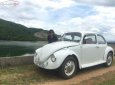 Volkswagen Beetle Trước 1990 - Cần bán xe Volkswagen Beetle Trước sản xuất 1990, màu trắng, xe nhập