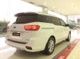 Kia Sedona Platinum D 2018 - Bán Sedona Platinum D 2019, giá 1tỷ 209 triệu, tặng Camera hành trình nhập khẩu Hàn Quốc, liên hệ 0979.508.434 gặp Vinh nhé